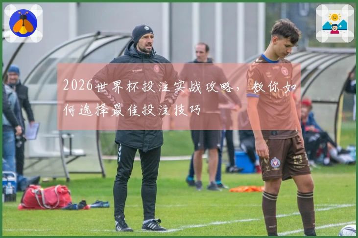 2026世界杯投注实战攻略，教你如何选择最佳投注技巧