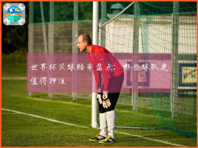 世界杯买球赔率盘点：哪些球队更值得押注