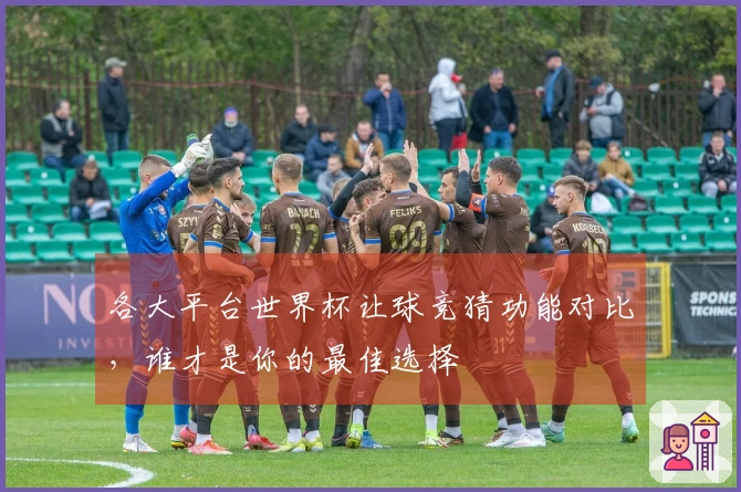 各大平台世界杯让球竞猜功能对比，谁才是你的最佳选择