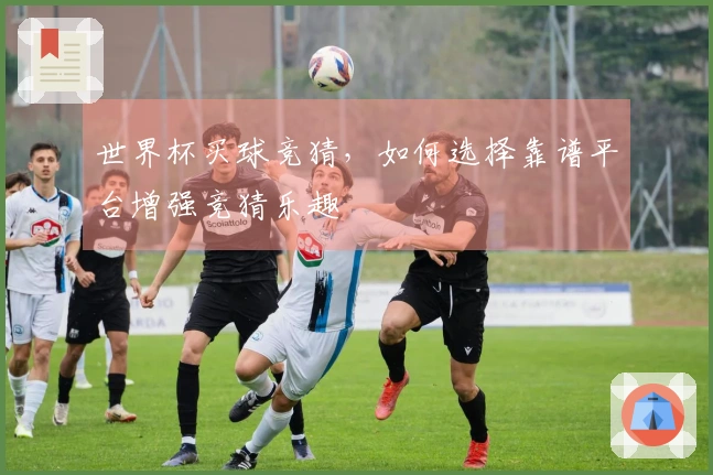 世界杯买球竞猜，如何选择靠谱平台增强竞猜乐趣