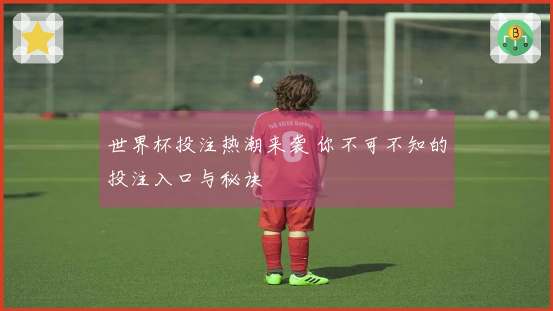世界杯投注热潮来袭 你不可不知的投注入口与秘诀