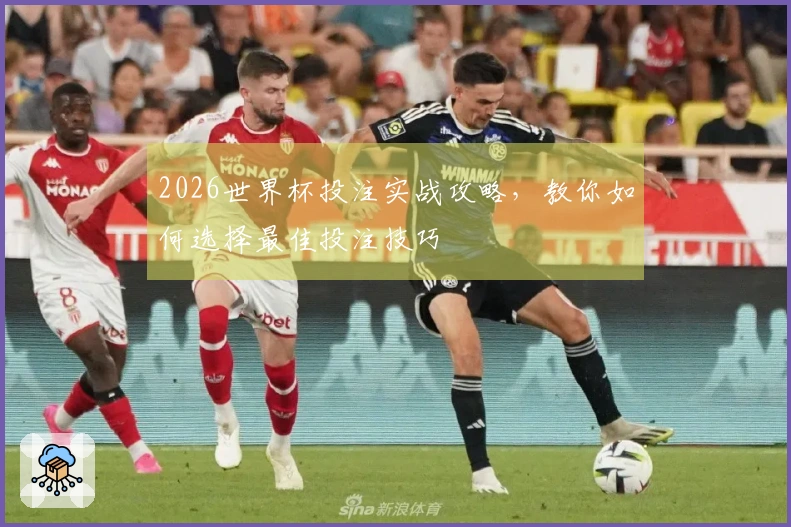 2026世界杯投注实战攻略，教你如何选择最佳投注技巧