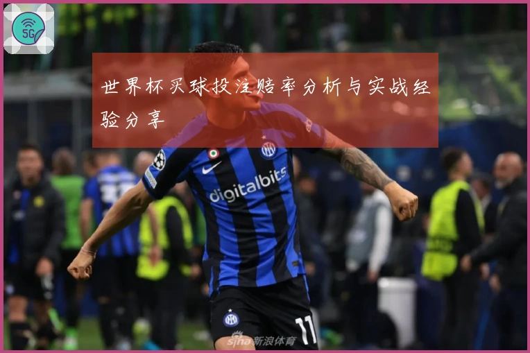 世界杯买球投注赔率分析与实战经验分享