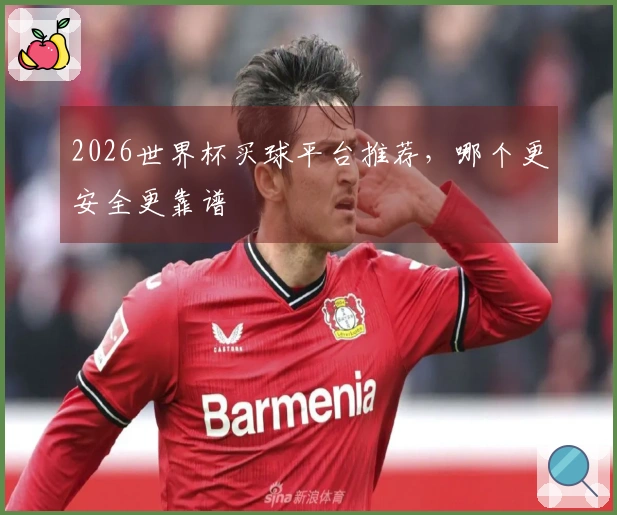 2026世界杯买球平台推荐，哪个更安全更靠谱