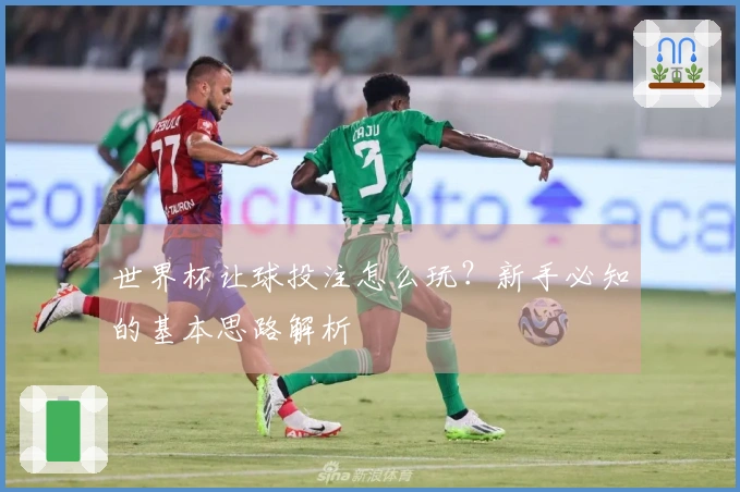 世界杯让球投注怎么玩？新手必知的基本思路解析