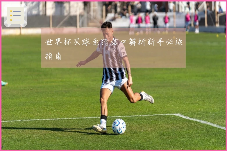 世界杯买球竞猜盘口解析新手必读指南