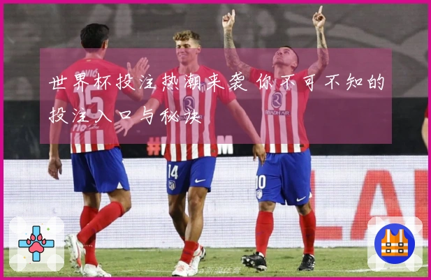 世界杯投注热潮来袭 你不可不知的投注入口与秘诀