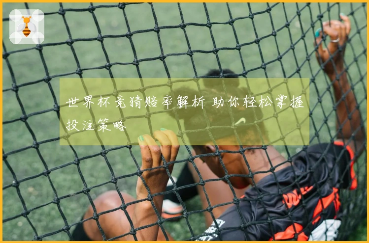 世界杯竞猜赔率解析 助你轻松掌握投注策略