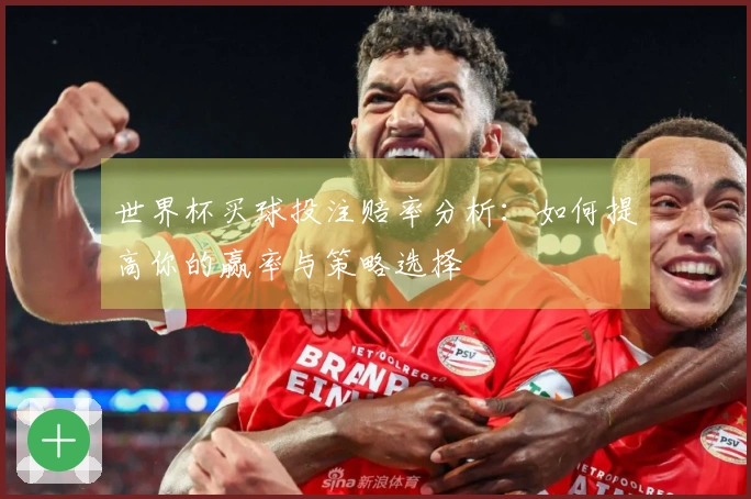 世界杯买球投注赔率分析：如何提高你的赢率与策略选择
