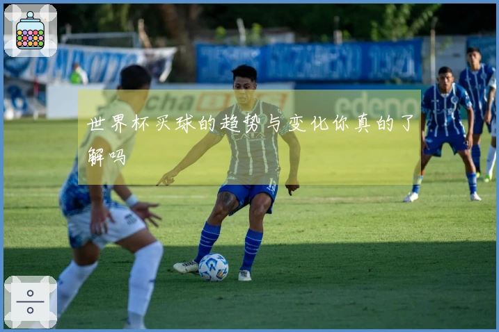 世界杯买球的趋势与变化你真的了解吗