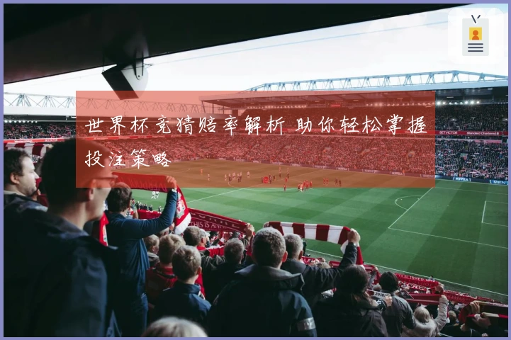 世界杯竞猜赔率解析 助你轻松掌握投注策略