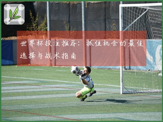 世界杯投注推荐：抓住机会的最佳选择与战术指南