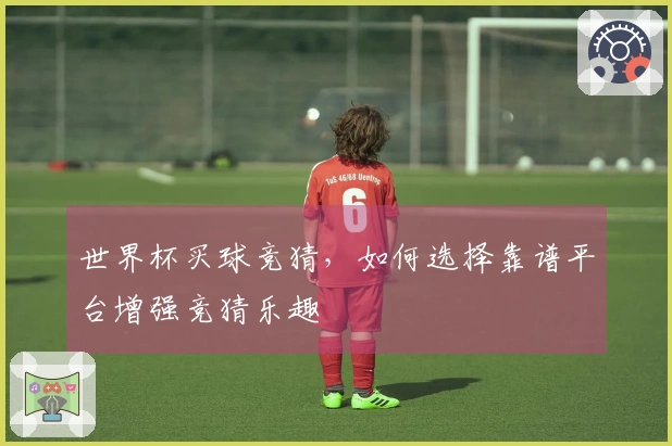 世界杯买球竞猜，如何选择靠谱平台增强竞猜乐趣